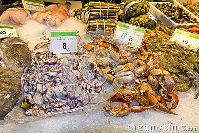 Variety of fresh fish in the market