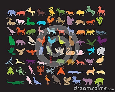 Various animals on black poster.