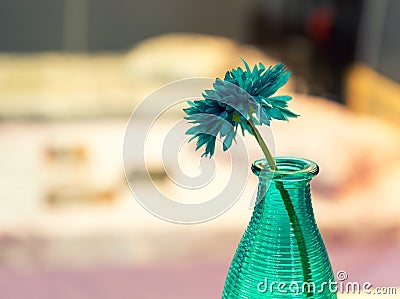 Vase of blue flower with colorful interior