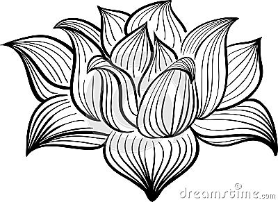 Vector Black and White Lotus flower