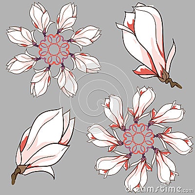 Vector hand drawn magnolia flowers round vignette