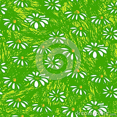 Vector pattern with hand drawn daisy flowers