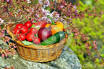 Vegetables in the basket