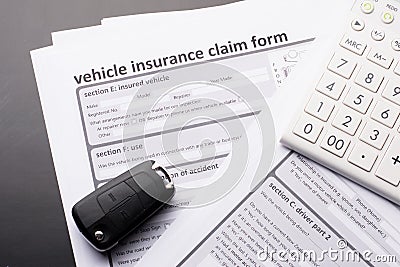 Vehicle Insurance Form