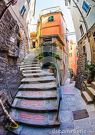Vernazza Alleyway, Cinque Terre, Italy III