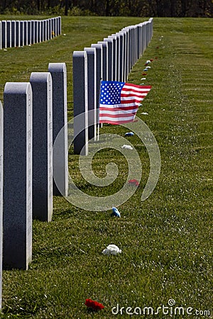 Veterans Day, Abraham Lincoln National Cemetery