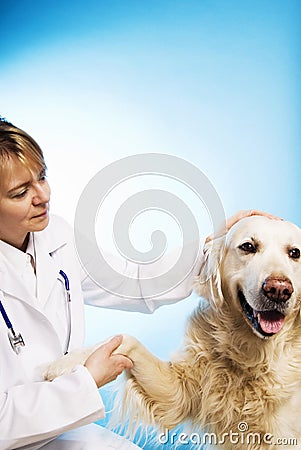 Veterinarian doctor with dog