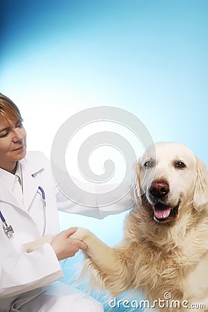 Veterinarian doctor with dog