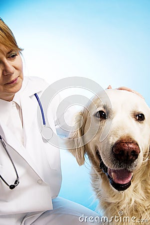Veterinarian doctor with dog