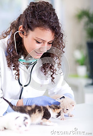 Veterinarian examines four beautiful little a kitten