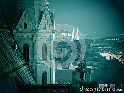 Vienna skyline at night