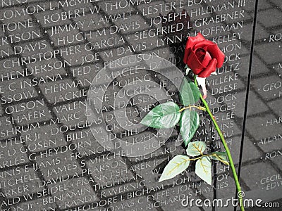 Vietnam War Memorial Rose