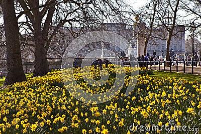 View of Buckingham Palace from St. James s Park