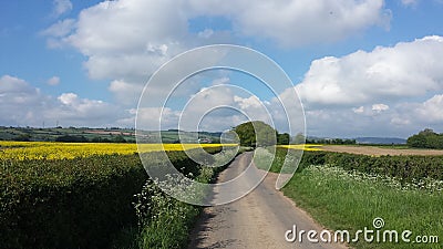 View on country road and fields in England.