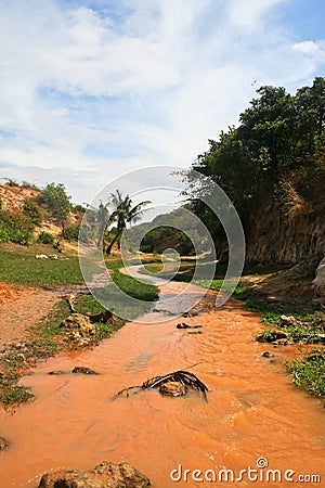 View of muddy tropical river
