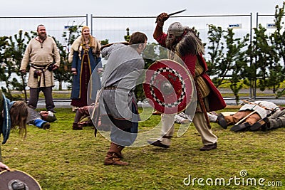 Viking Festival 2014