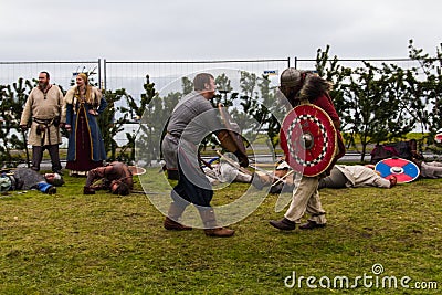 Viking Festival 2014