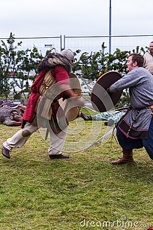 Viking Festival 2014