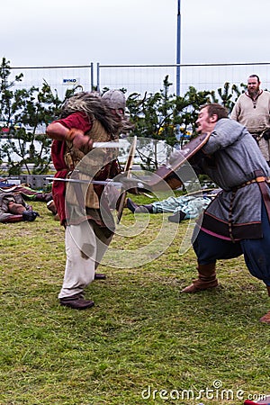 Viking Festival 2014