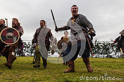 Viking Festival 2014