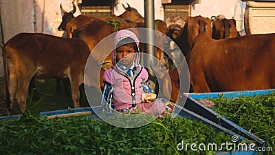 Village life, rural Rajasthan, India