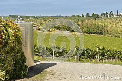 Vineyard and vat for wine-making