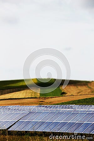Vineyards with solar panels, miniature style