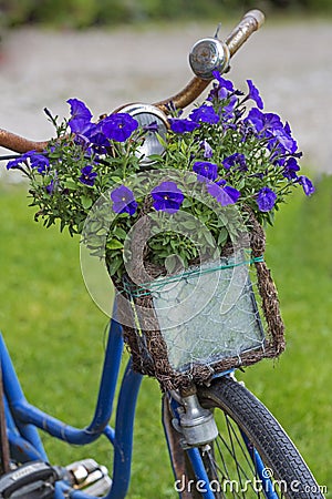 Vintage bicycle with flowers in a basket