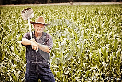 Vintage Old Farmer in the Corn Fields