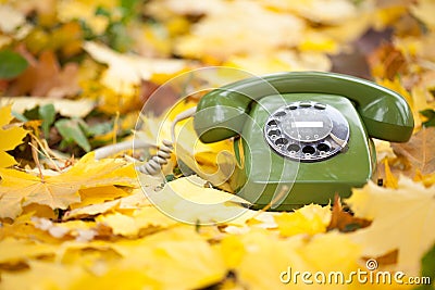 Vintage phone in yellow leaves