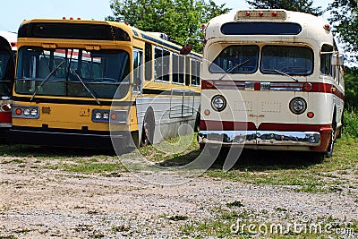 Vintage Public Transportation Vehicles - Buses.