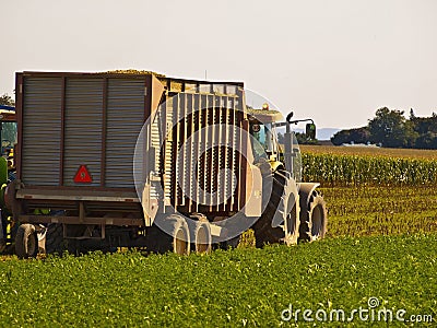 Vintage Tractor in an Amish Farm