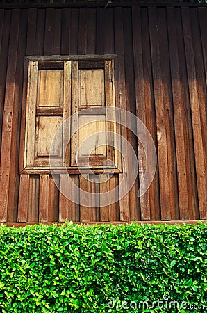 Vintage wood house with green leaf fence