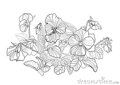 Viola Flowers Royalty Free Stock Image - Image: 20141926