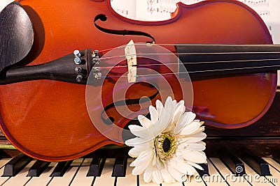 Violin, Piano, and a White Flower