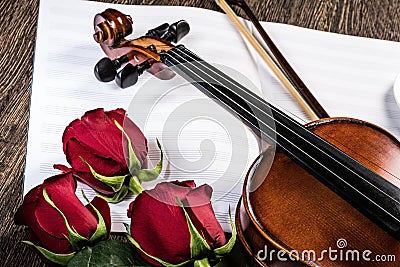 Violin, rose and music books