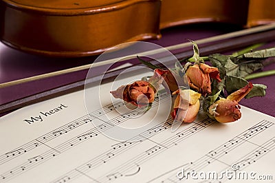 Violin, sheet music and dried roses