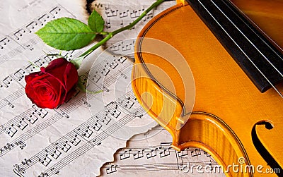 Violin sheet music and rose