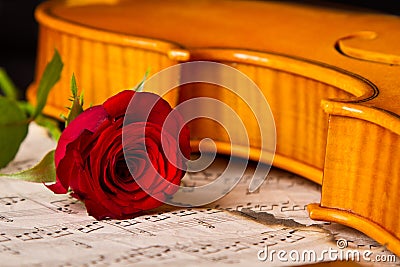 Violin sheet music and rose