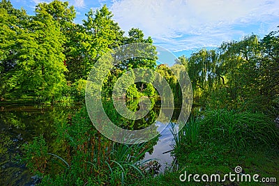 Vondelpark in Amsterdam