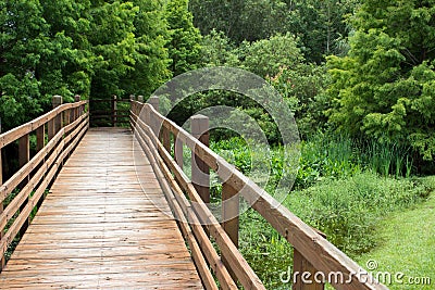 Walking Bridge and the Forest