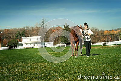 Walking horse in meadow