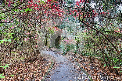 Walking Trail Through Southern Garden