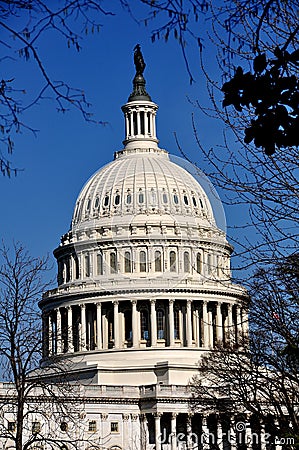 Washington, DC: U. S. Capitol Dome
