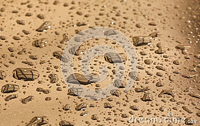 Water drops in a shiny metallic surface with table reflections