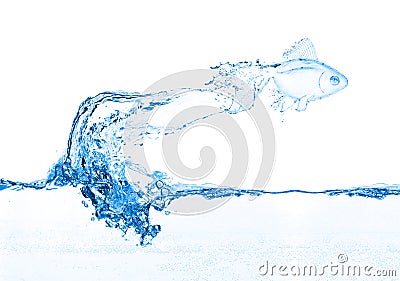 Water fish jumping