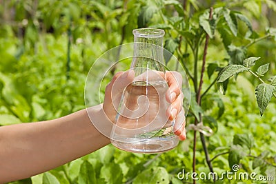 Water Purity Test, liquid in laboratory glassware