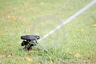 Water spread out from the Sprinkler of garden equipment
