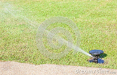 Water Sprinkler system watering on fresh green grass.