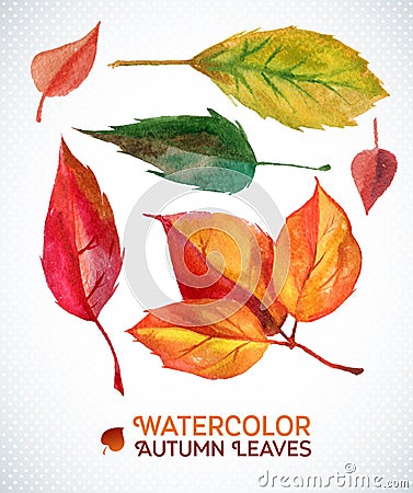 Watercolor autumn leaf set. illustration Collection of watercolor hand drawn leaves.